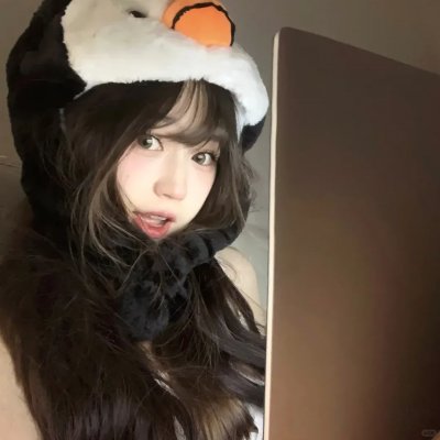 菜鸟先生